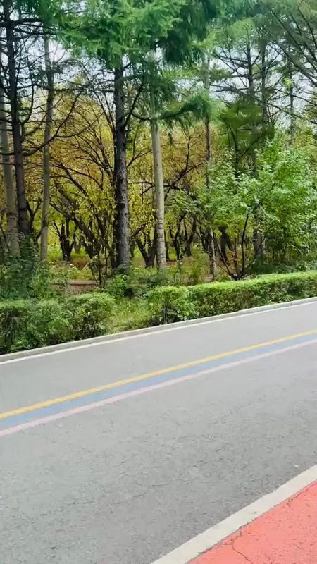 南湖游记
